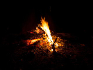 Cozy bonfire in the silence of the night