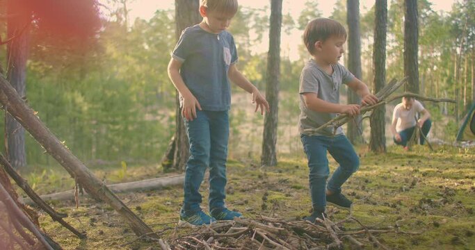 Two boys collect sticks in the woods for a large family campfire against the backdrop of a tent and a lake. Family is going to light a fire for camping and frying marshmallows