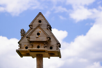 birdhouse made of wood in the forest