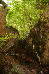 The Huel Lee is man-made caves in Luxembourg Sand-stone. The forest and the surroundings near the caves.