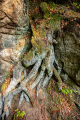 The Huel Lee is man-made caves in Luxembourg Sand-stone. The forest and the surroundings near the caves.