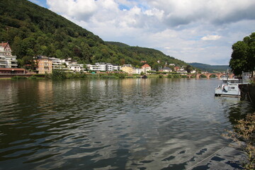 Fototapeta na wymiar Neckar