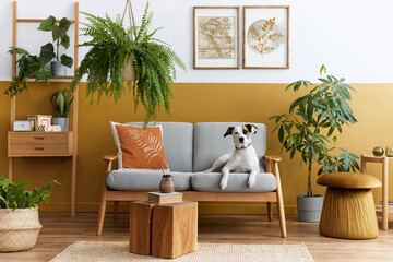 Stylish interior of living room with design furniture, gold pouf, plant, mock up poster frames, carpet, accessoreis and beautiful dog lying on the sofa in cozy home decor. Template.