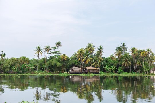 Backwaters of Allepy, Kerala, India