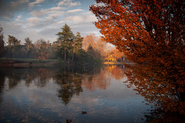 Couleurs d'automne en Gironde