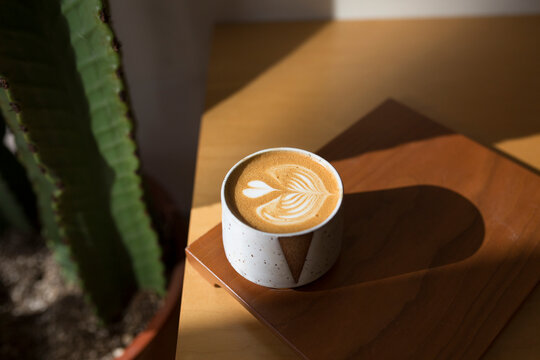 Coffee and Cactus