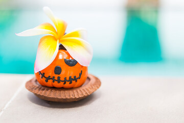 Fototapeta premium Colorful Halloween background concept, beautiful flower on Halloween pumpkin on clay tray over blurred background, outdoor day light