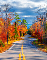 Fototapeta premium A Road at Autumn in Door County of Wisconsin
