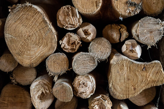 Stacked chopped wood