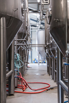 rows of fermentation containers in a brewery