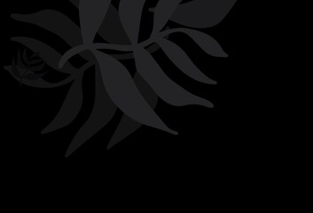 Dark Gray vector natural background with leaves.
