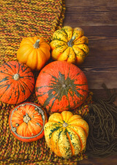 pumpkins and knitted scarf on wooden table. autumn time concept.