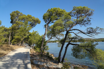 Fototapeta na wymiar Walking path on the coast of the canal of St. Ante near Sibenik in Croatia