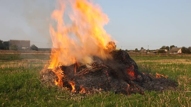 Bright burning haystack close up in the field with smoke, burning dry potato tops in the village on an autumn day, fire danger, ecology disaster pollutions