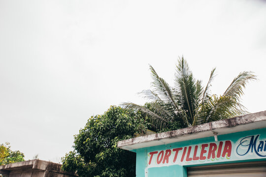 Tortilleria Shop