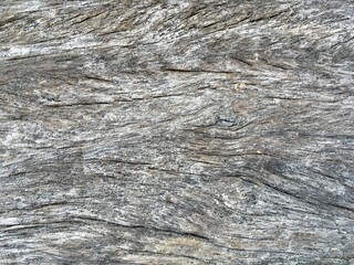 wood texture