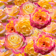 Seamless pattern with  flowers of roses.