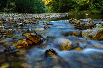 Fototapeta na wymiar beautiful forest river