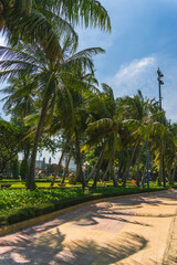 Fototapeta premium tropical view of coconut palm trees in front beach of Vung Tau city with waves, coastline in Vietnam