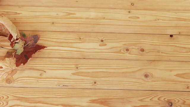 Autumn leaves on a wooden table