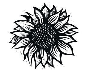 Vector sunflower. Sunflower illustration. Flower engraving.Sunflower flower vector. Sunflower engraving.