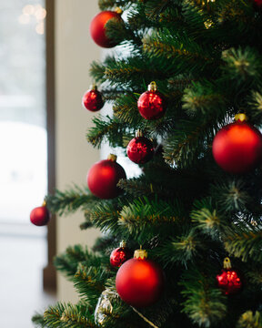 Close up fir branches with red baubles
