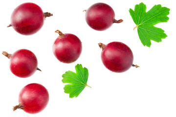 red gooseberry with leaves isolated on white background. Top view.