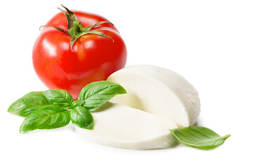 Mozzarella cheese with tomato and basil isolated on white background