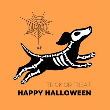 Vector Halloween postcard. Dog skeleton and spiderweb, isolated on orange background