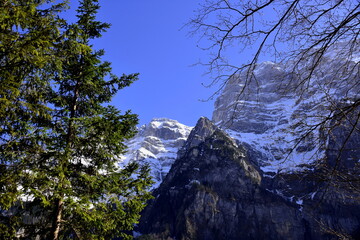 Panorama of Alps covered with snow behind the branches of trees close to Klöntalersee lake in Klöntal, Kloental valley, during sunny spring day, Schwyz Alps, canton Glarus, Switzerland.