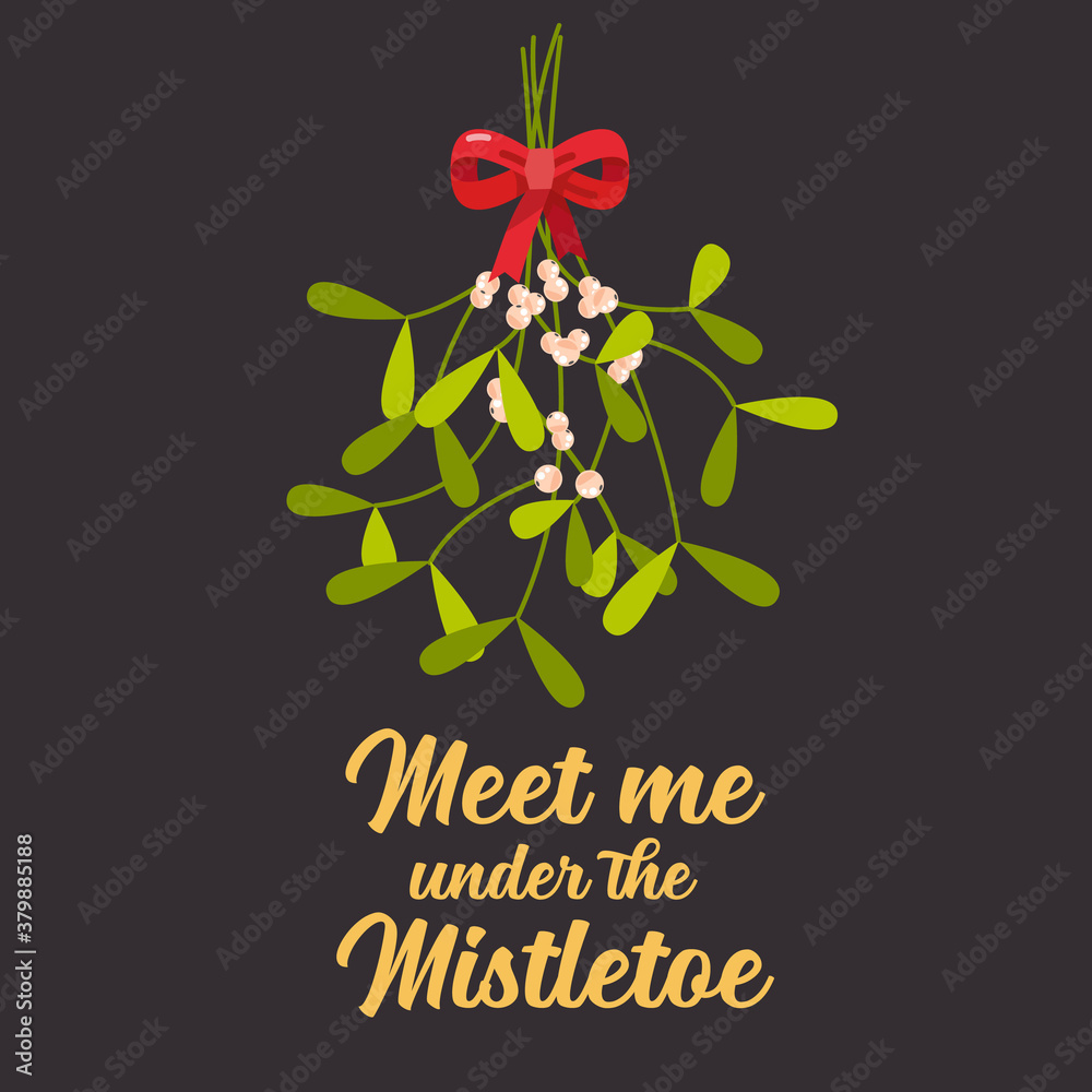 Wall mural meet me under the mistletoe