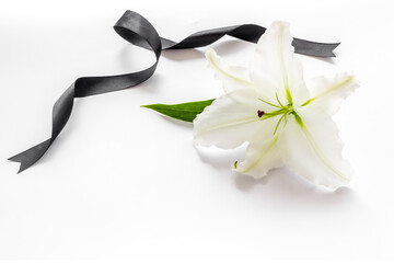Funeral symbols. White lily with black ribbon, top view