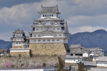 世界遺産姫路城と桜