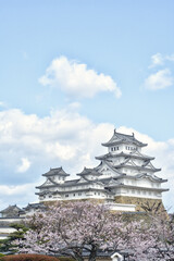 世界遺産姫路城と桜