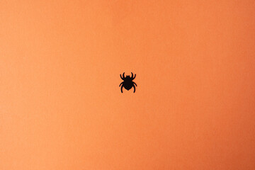 Top view of scary spiders on orange background with copy space