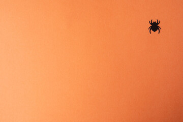 Top view of scary spiders on orange background with copy space