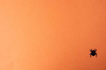 Top view of scary spiders on orange background with copy space