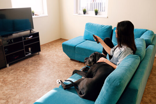 Woman with laying dog channel-surfing