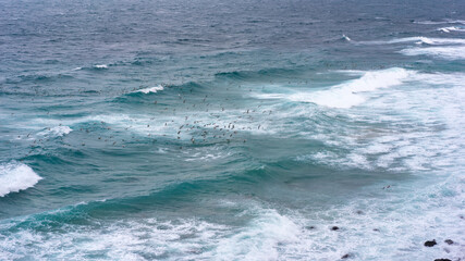 waves on the sea at the beach, windy shore, waves on the beach at the sea, island life, travel concept, soft focus