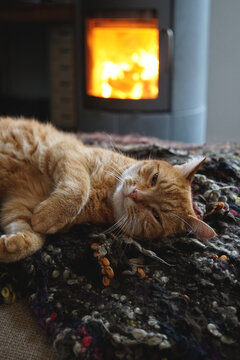How dare you disturb me?