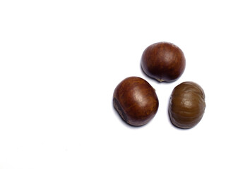 chestnut isolated on white background