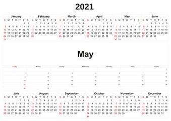 2021 annual calendar with white background.