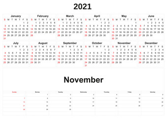 2021 annual calendar with white background.