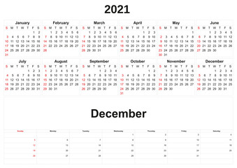 2021 annual calendar with white background.