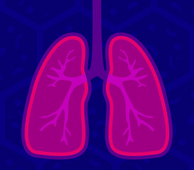 Lungs - human internal organ. Illustration of human lungs. Vector illustration of Respiratory system, healthy lungs anatomy flat medical organ icon.