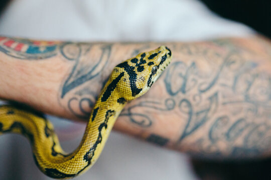 Man holding a python