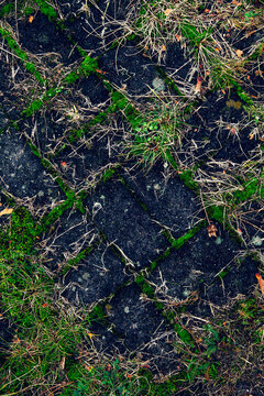 Wintery Tiled Floor