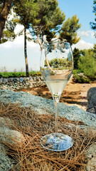 White wine glass in a garden with pines