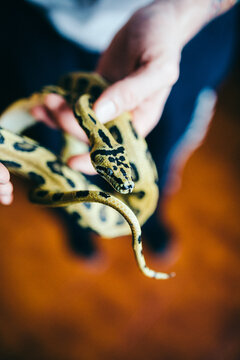 Man holding a python