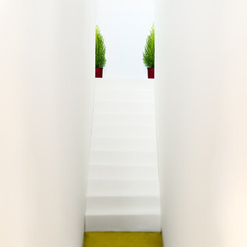 Two cypresses on both of the sides of a staircase half hidden
